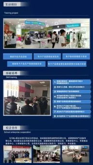 2019年招生专业 移动通信技术与信息技术咨询服务